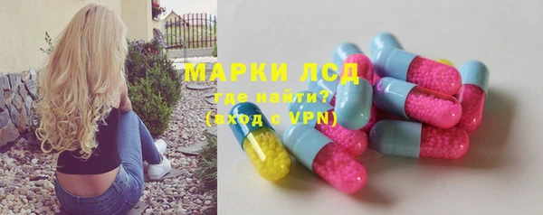 твердый Михайлов