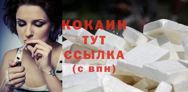 твердый Михайлов