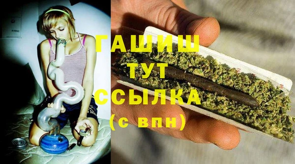 гашик Алапаевск