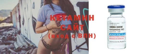 индика Алагир