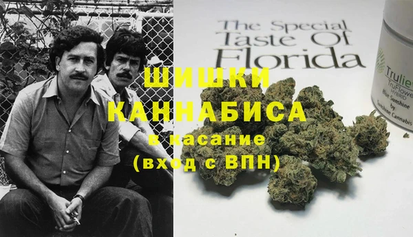 гашик Алапаевск