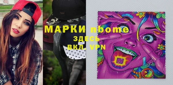 твердый Михайлов