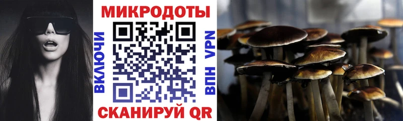 Галлюциногенные грибы MAGIC MUSHROOMS  Жуков 