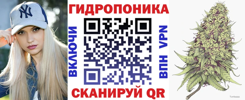 кракен рабочий сайт  Жуков  Бошки марихуана конопля 